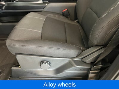 2026 Ford F-150 STX LOBO