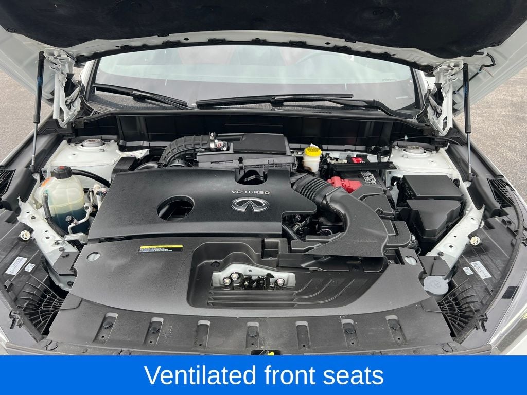 2023 INFINITI QX50 SPORT