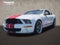 2009 Ford Mustang Shelby GT500