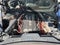 2025 Chevrolet Corvette Stingray 2LT